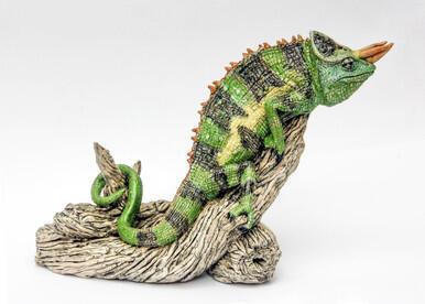 210 - Jackson’s chameleon