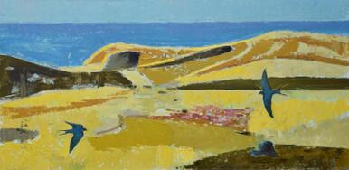 286 - Pembrokeshire coast, summer and Swallows