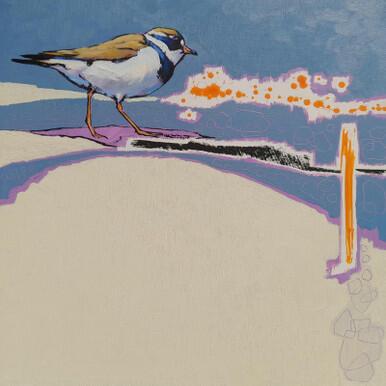 053 - Ringed Plover