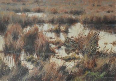 367 - Three thirty-five November 12th