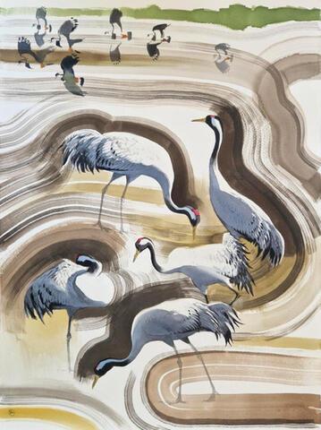 354 - Cranes and Lapwings, ploughed field, early autumn