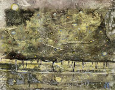 088 - Gustav's Night at the Park Pond