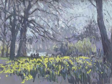 105 - Daffodils, St James's Park