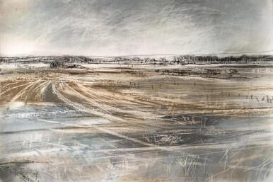 Janine Baldwin, Crosslines