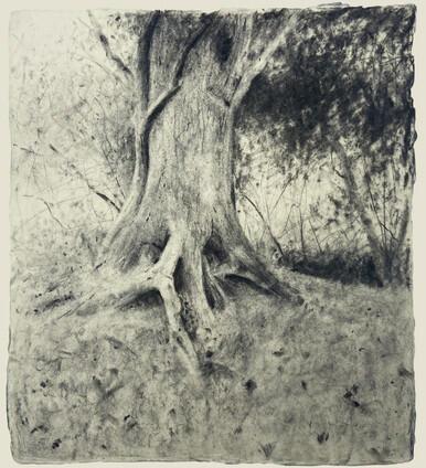 039 - At the Edge of the Woods