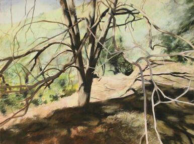 086 - Chestnut in Winter Andalusia