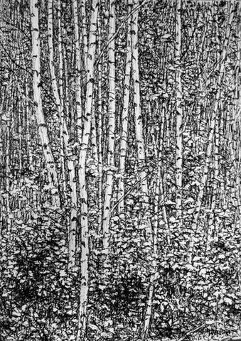 374 - In the Middle of the Woods