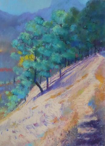 161 - Slippery Slope - La Gomera