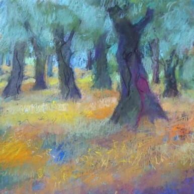 162 - Through the Grove