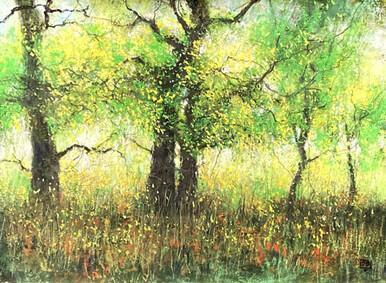 062 - Colours of Spring