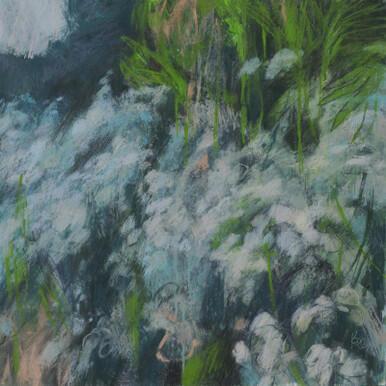 051 - Laneside Cow Parsley