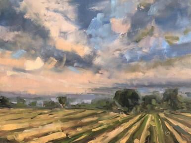 199 - Vineyard under Low Sun