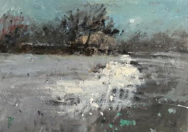 305 - Over the Fields, Frost