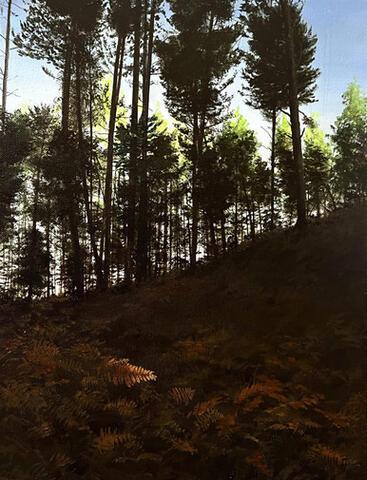 161 - Last of the Light: Cannock Chase