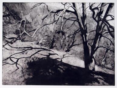 121 - Winter Light - Axarquia