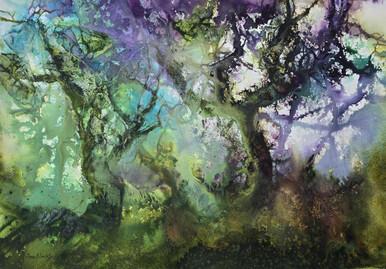 064 - Bewitched Wood