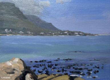 294 - Towards Kalk Bay
