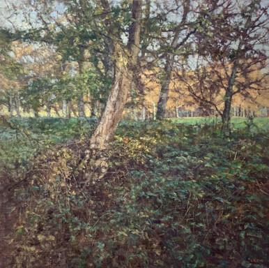 118 - Edge of the Wood