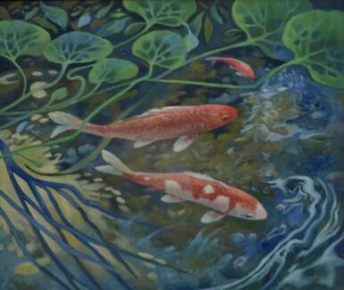 219 - Carp and Pond Life