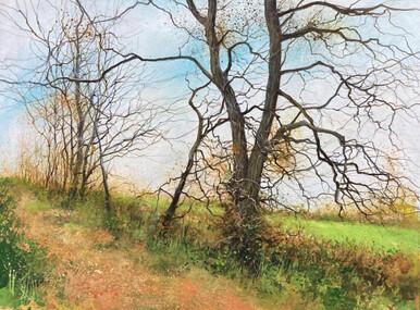 071 - Familiar Place