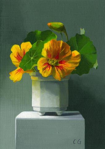 168 - Nasturtiums on a Box