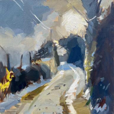 052 - Freezing Fog, Dublin Mountains