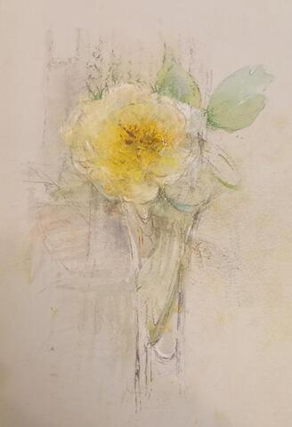 008 - Yellow Rose