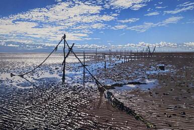 220 - Fishing Stakes