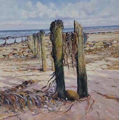 284 - After the Storm