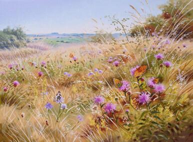 323 - The Golden Summer, Martin Down