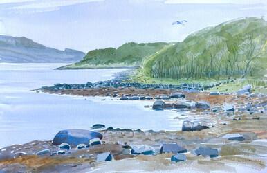 262 - Taynish and Grey Heron