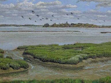 325 - Godwits on the Alde, Suffolk