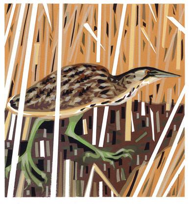 002 - Bittern reedbed