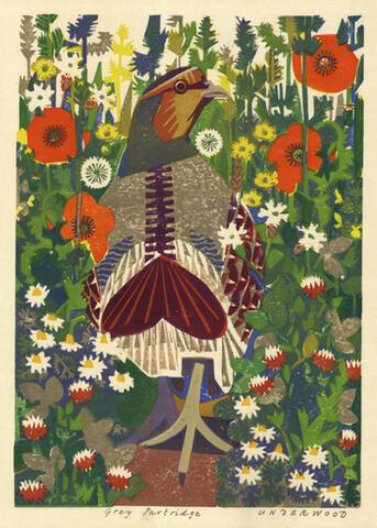 337 - Grey Partridge