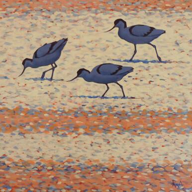 011 - Early morning Avocets