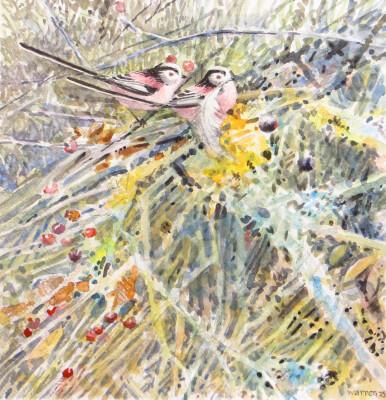 350 - Long-tailed Tits