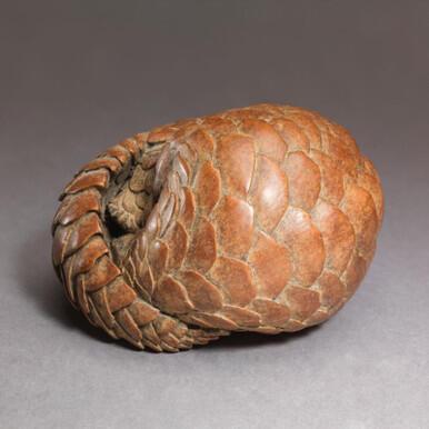 046 - Pangolin