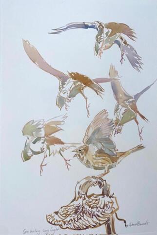 037 - Corn Bunting song flight