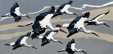 029 - Rewilding White Storks