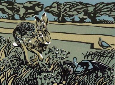 026 - Hare and the sweet meadow