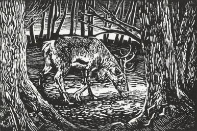 027 - I am a girl (reindeer)