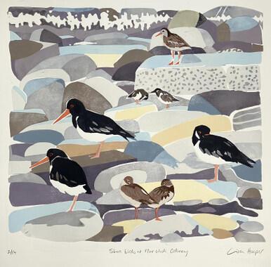 154 - Shore birds, Mar Wick