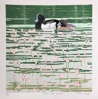 156 - Tufties and Bistort