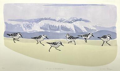 150 - A grain of Sanderling