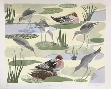 152 - Godwits and Wigeon