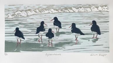 153 - Oystercatchers