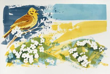 296 - Hawthorn Yellowhammer - flowering May