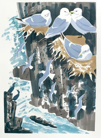 297 - Kittiwake cliff