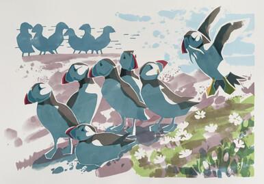 295 - Backlit Puffins