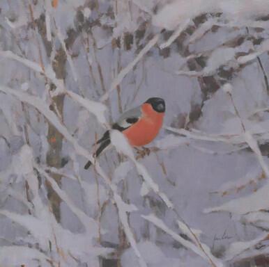 069 - Shelter from the snow